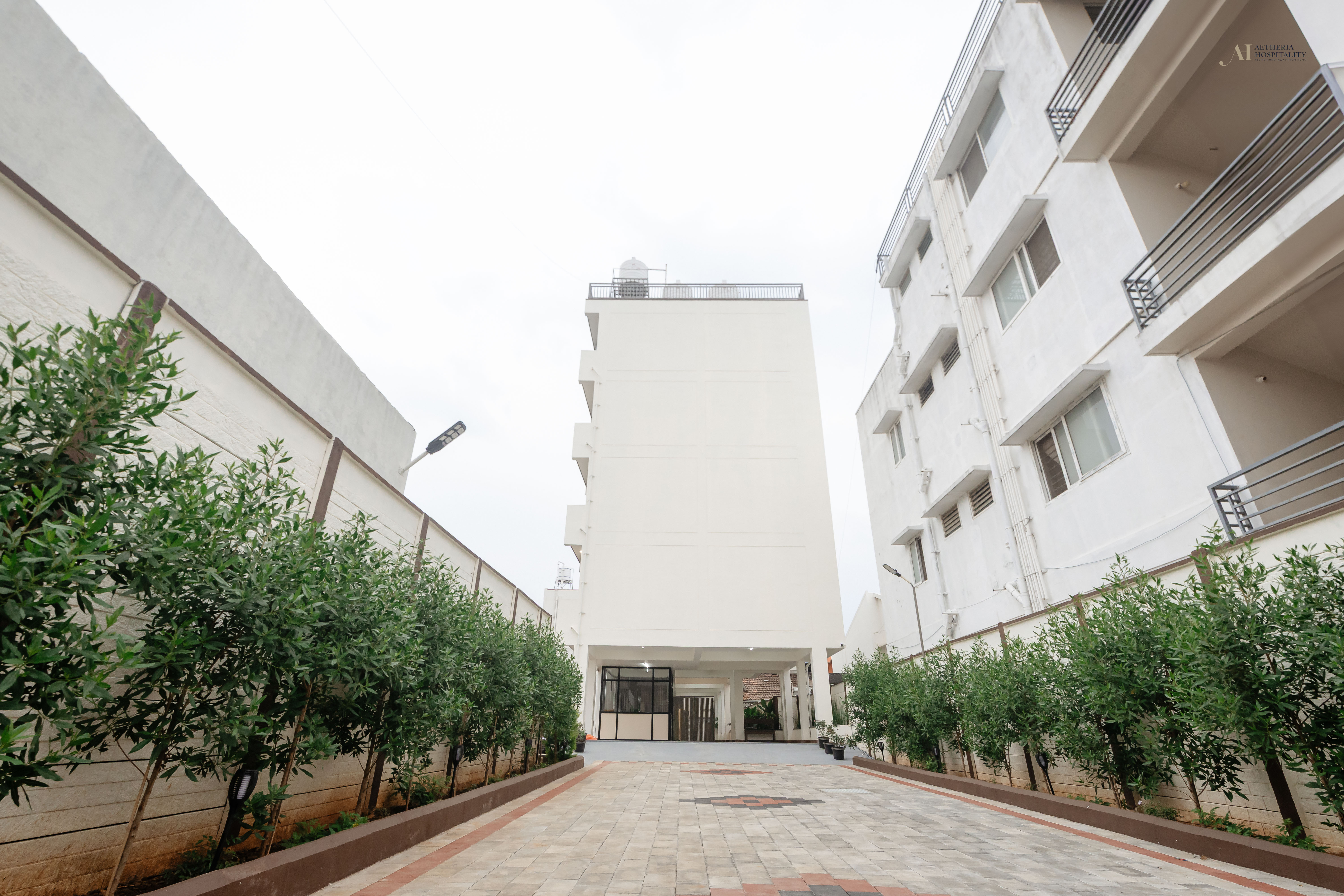 Free website template